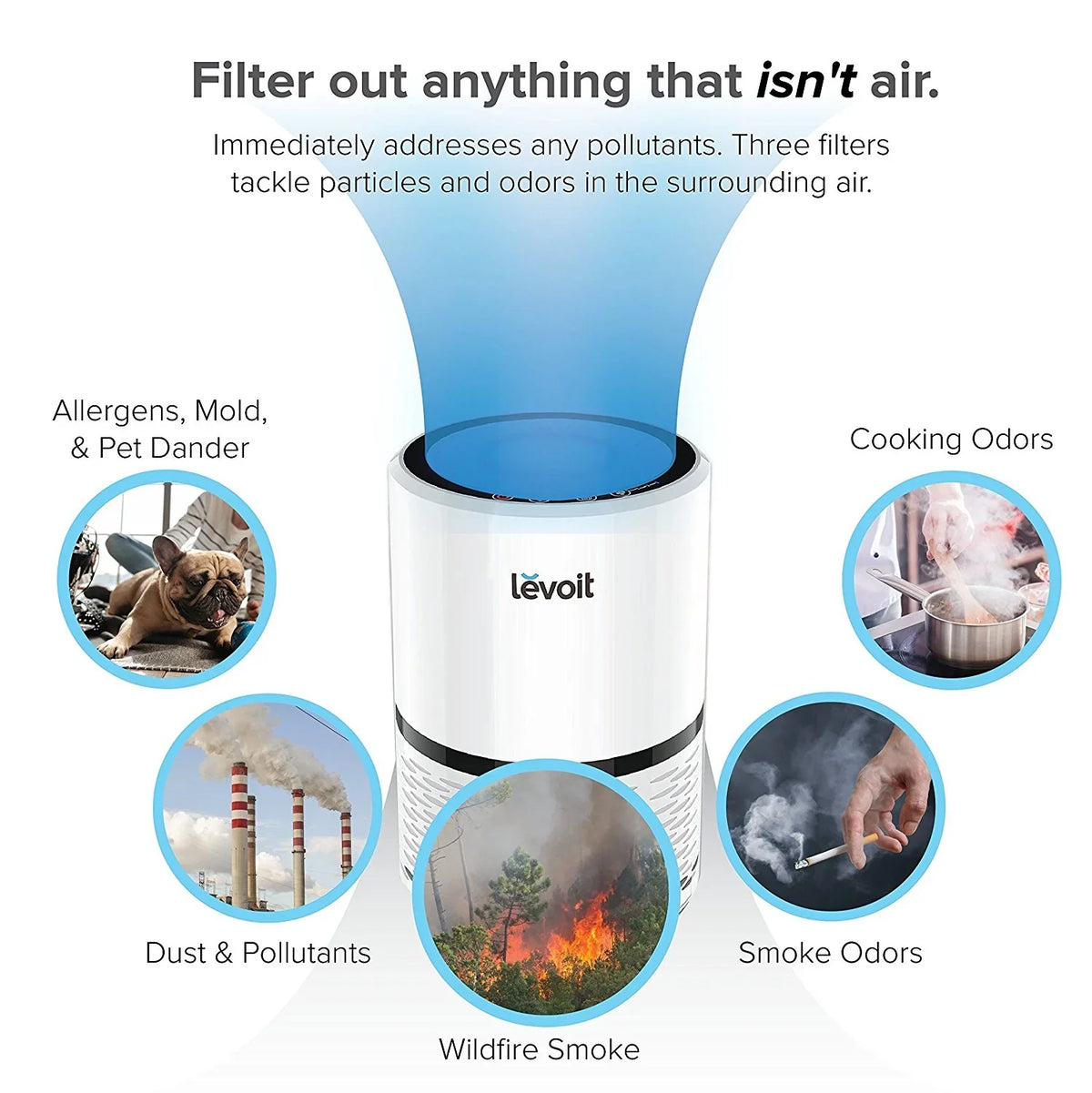 Smoke, True LV-H132 LEVOIT for More Bacteria, with Air and Hepa Purifier Filter
