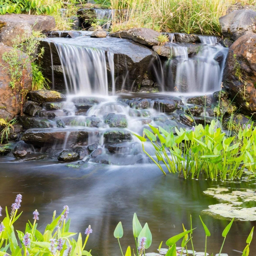 GPH Series liquid Ponds PONDS PN-6300 Direct and Piranha - OFF Gardens, Drive 6,300 for Submersible HALF Waterfalls Pump