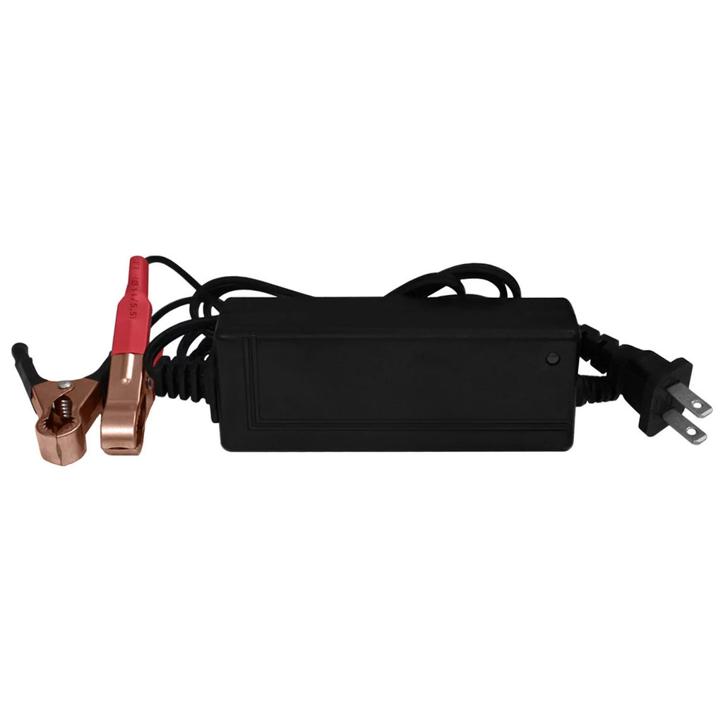 Battery 10AH 2Amp + for Suzuki GEL 12V YTX12-BS 12V Charger GSX-R1000