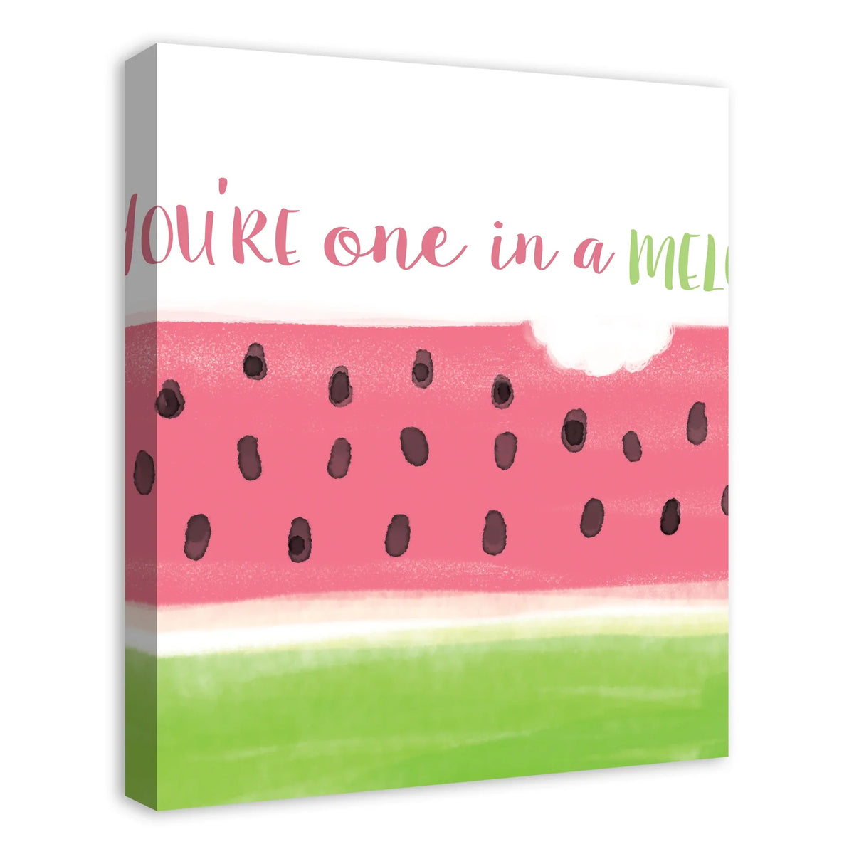 A 20x24 Products Melon One in Canvas Creative Wall Art
