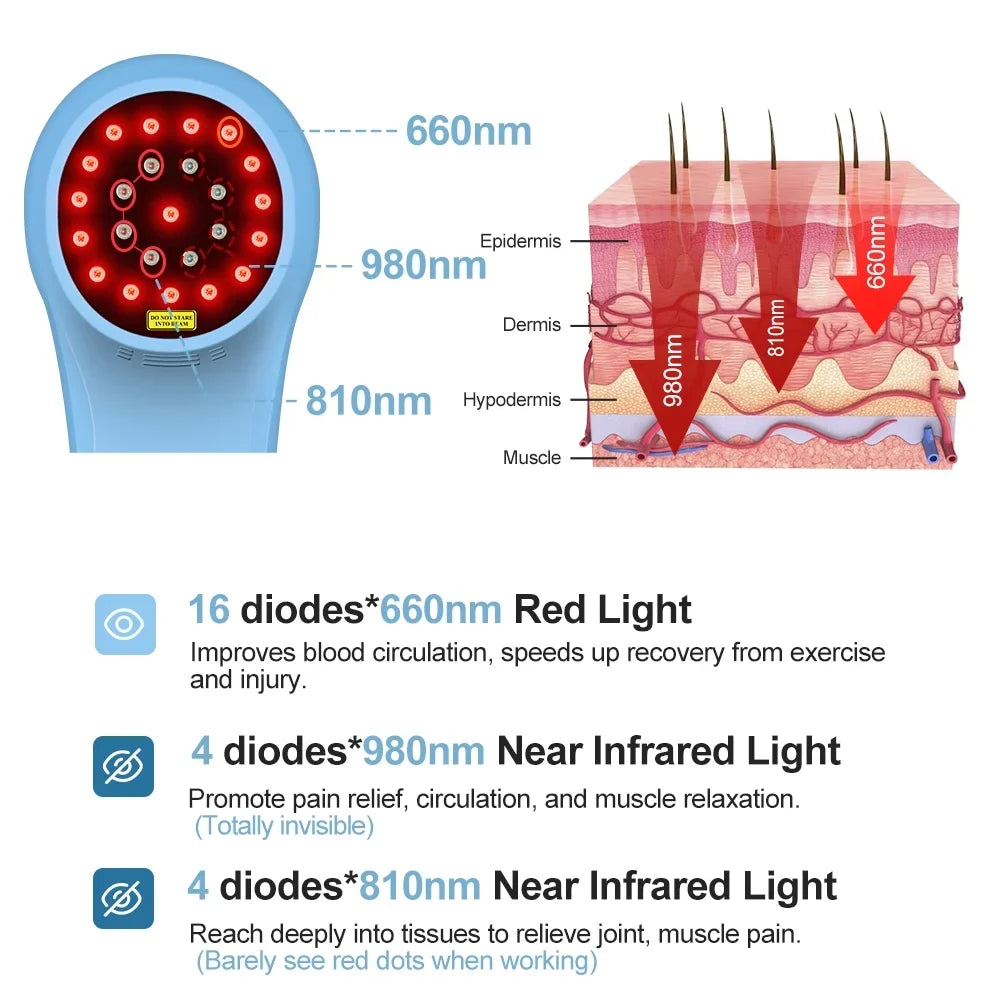 Device,Light 980nm 810nm,Cold Laser Therapy Animals Therapy Pain 660nm Relief for Toponechoice