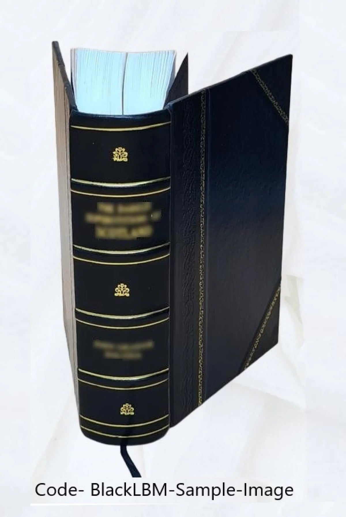 anthology others aga social the social writings an protest; voiced philosophers, novelists, The the have reformers, of who literature of and cry of poets, for the struggle justice;