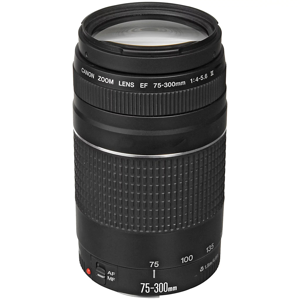 STM ZeeTech 64GB with Adapter EOS R6 24-105mm Mount Canon RF Accessory + + + SanDisk Mirrorless Lens Camera 75-300mm +