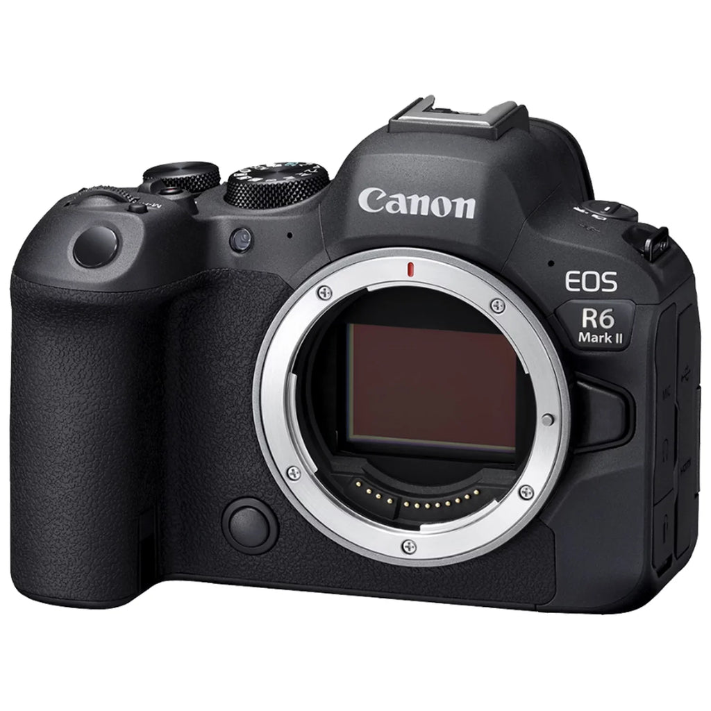 Bundle Case (Body) Mark Canon SanDisk II Accessory + LED Mirrorless Memory Flash + R6 + ZeeTech Camera EOS with 64GB Card
