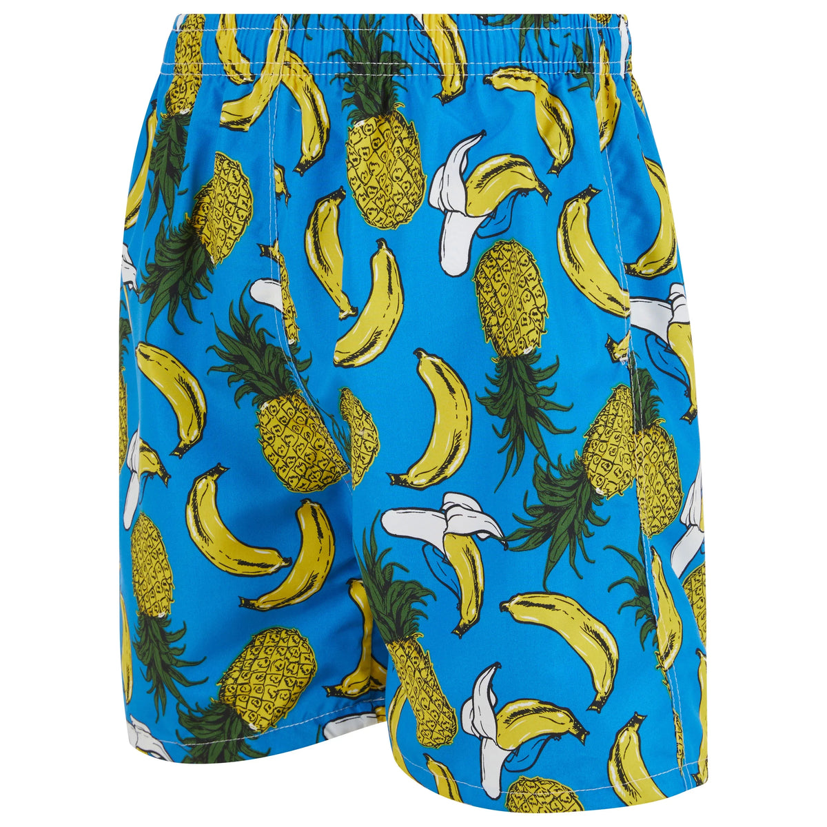 Large Lining, Shorts, Sunset/Fruits, iBerryNY Mesh Beach Swimming Palm Trunks Mens 2 Pairs,