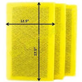 Pack) Guard Cleaner Air Filter (3 Supply Pads 14x30 Replacement RayAir MicroPower