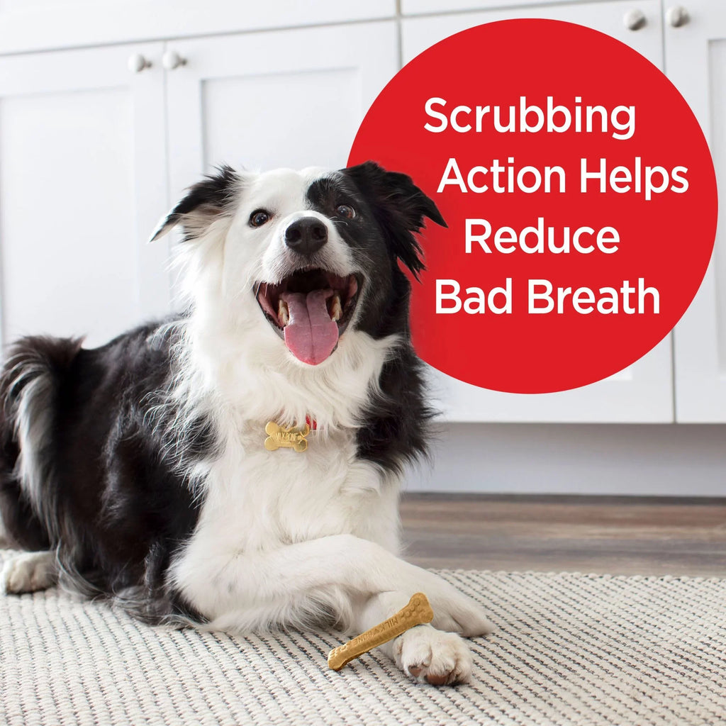 19.6 Small/Medium, Brushing Milk-Bone 25 Bag Oz. Chews Per Treats, Bag, Dog Bones Dental Daily