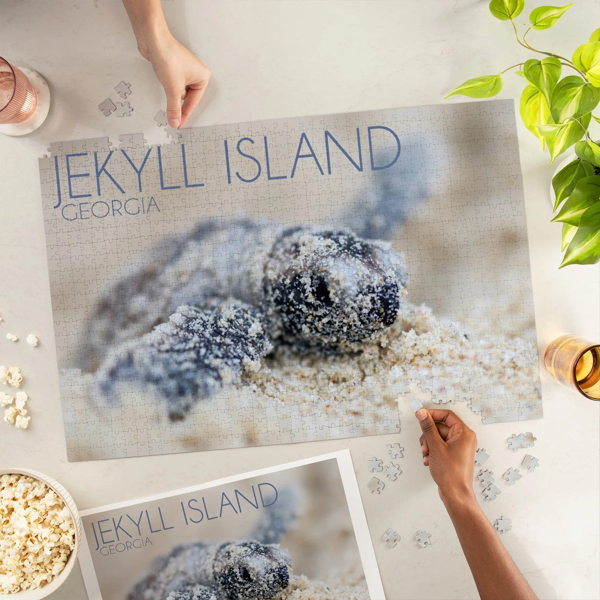 Hawksbill Press Puzzle, Piece Georgia, Island, 1000 Hatching Jekyll Turtle Lantern Jigsaw