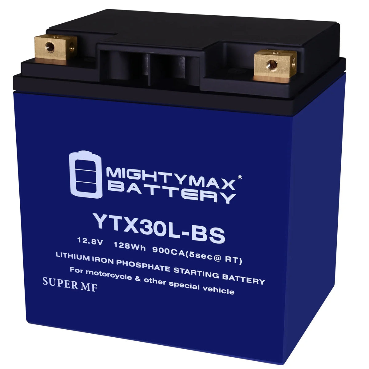 Battery Replacement Doo YTX30L-BS Bombardier GTX Lithium Polaris with Sea compatible