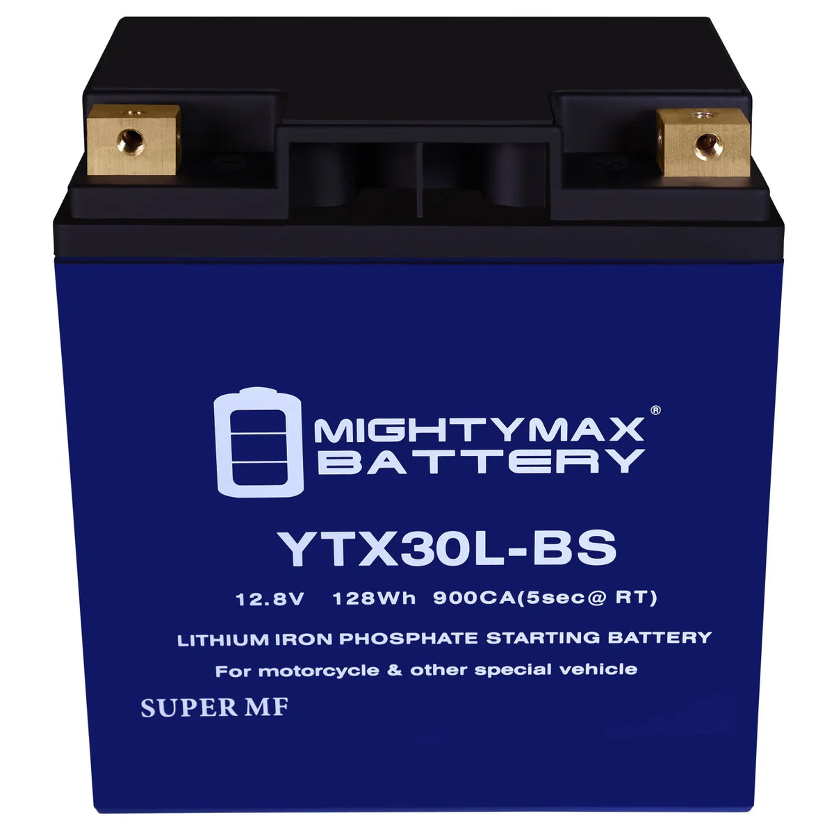 Battery Replacement Doo YTX30L-BS Bombardier GTX Lithium Polaris with Sea compatible