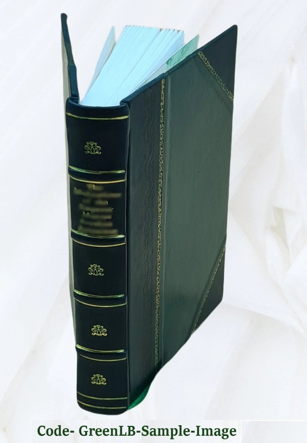 Annals [Leather Bound] of house. a doss 1900