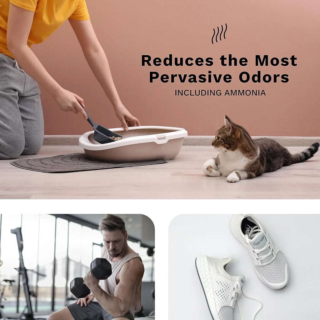 Aaira Lifelabs Odor Pets Household Germs | Generator Cleaning DH Smoking HOCL Eliminator Home at of Disinfectant Purpose Supplies & | | 99.9% - Mold Eliminates Multi Create | Surface Cleaner Mildew