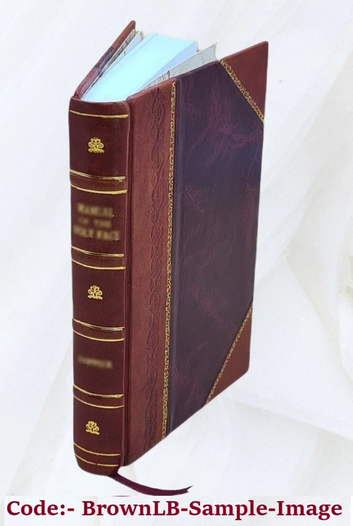 prodeunt, aliqua visa hactenus in repurgata, : exemplarium mendis lacunis & collatione omnia à quotquot jam Opera sunt, Riplaei chemica aliqua M.S. lucem Georgii quorum ... primum